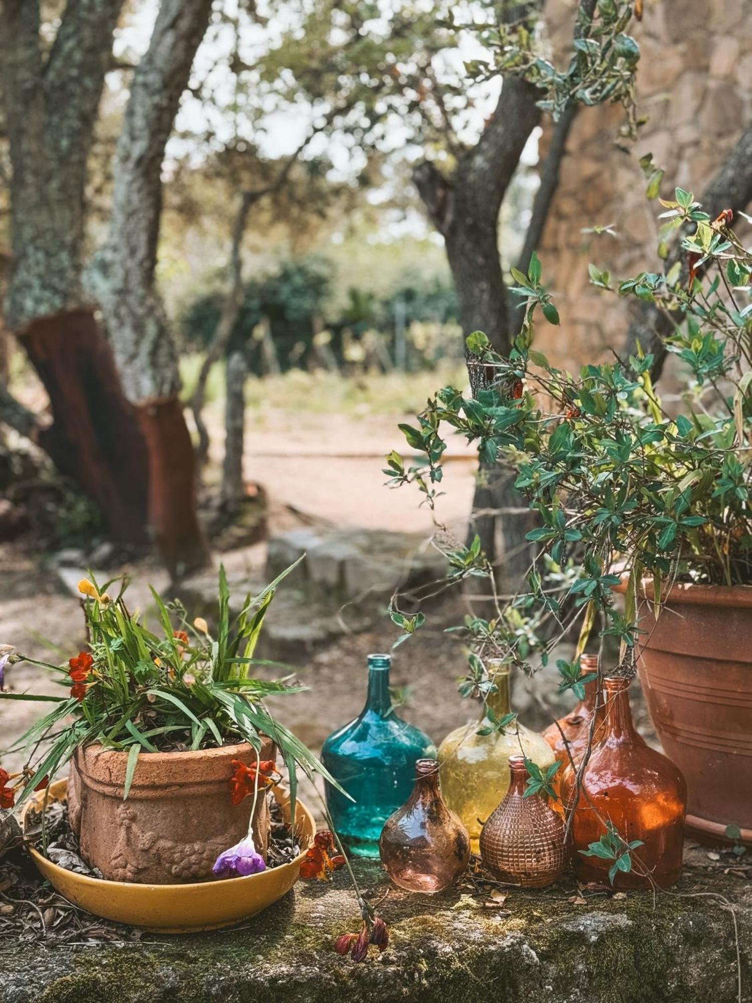 Agriturismo Il Muto Di Gallura Aggius エクステリア 写真