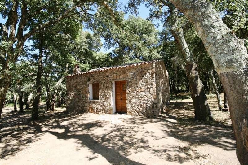 Agriturismo Il Muto Di Gallura Aggius 部屋 写真