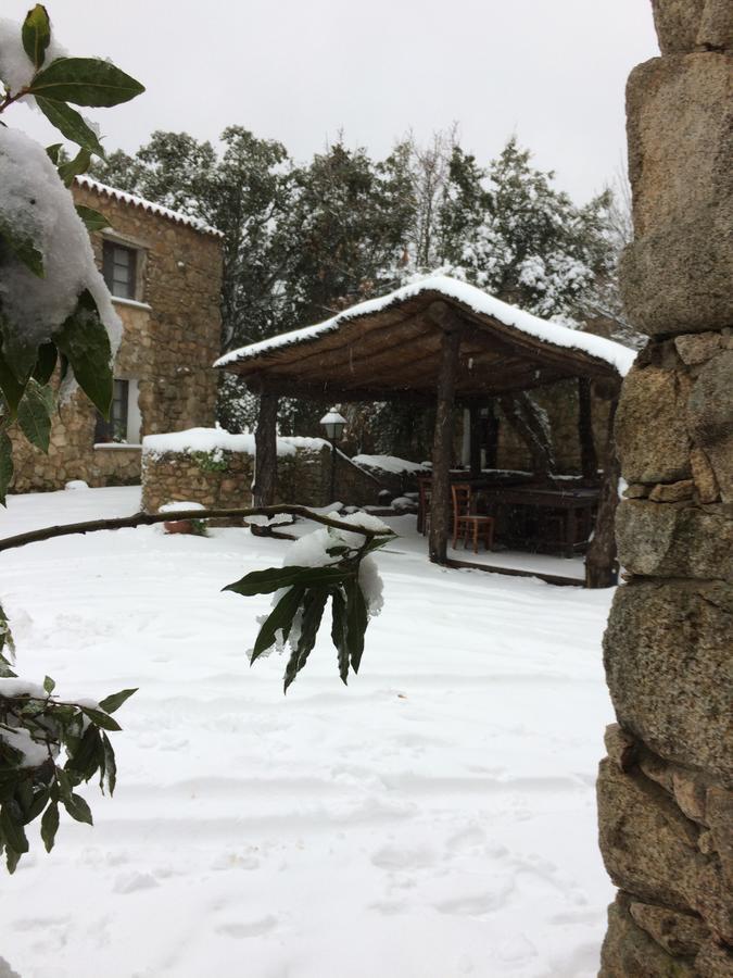 Agriturismo Il Muto Di Gallura Aggius エクステリア 写真