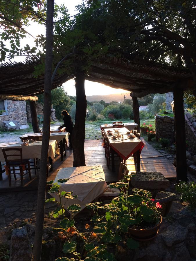 Agriturismo Il Muto Di Gallura Aggius エクステリア 写真