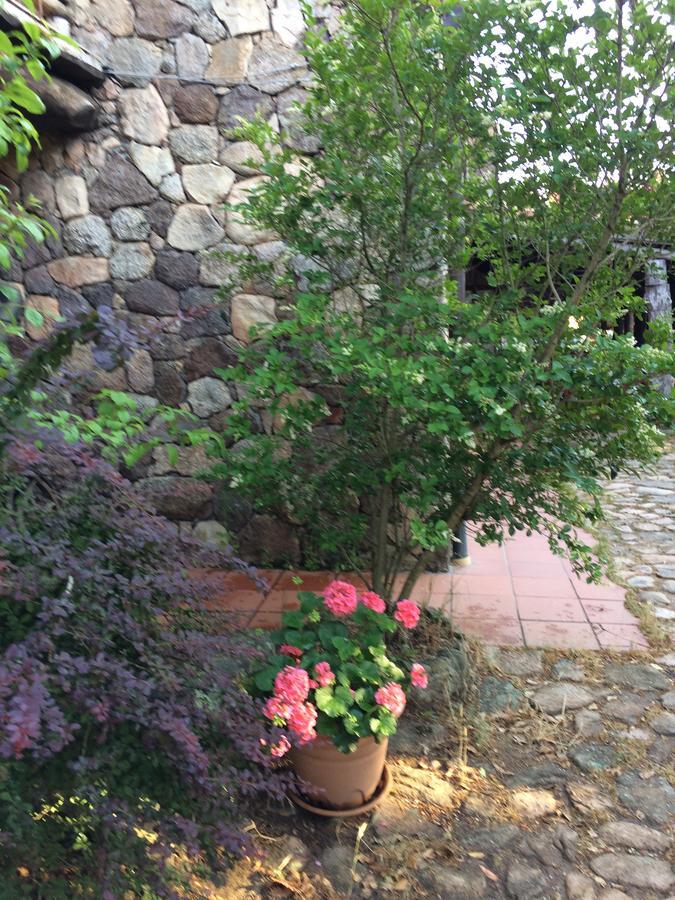 Agriturismo Il Muto Di Gallura Aggius エクステリア 写真